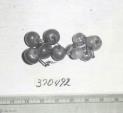 Click for 1 image(s) for this accession. FRUIT